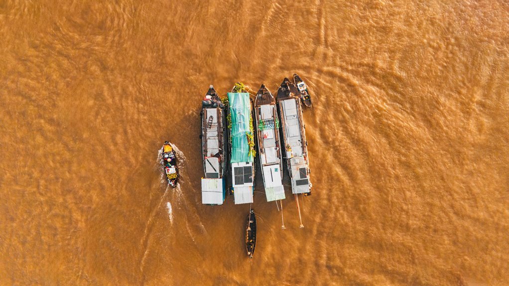 market activity summary report